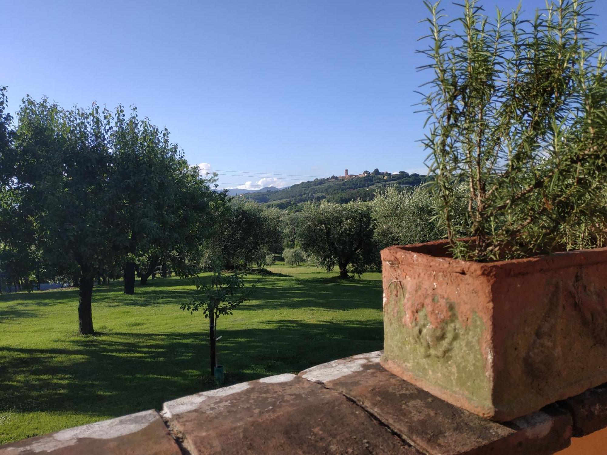 B&B La Casetta Montecarlo Rum bild
